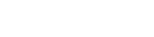 BGIS logo